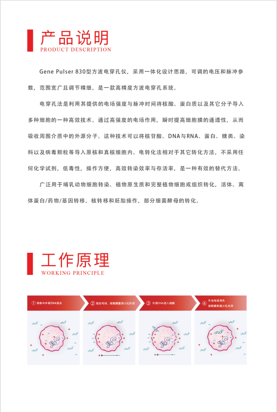 ����� Gene Pulser 830 �����紩���� ����չʾ����������ʺ�ʵ���Ҳ���