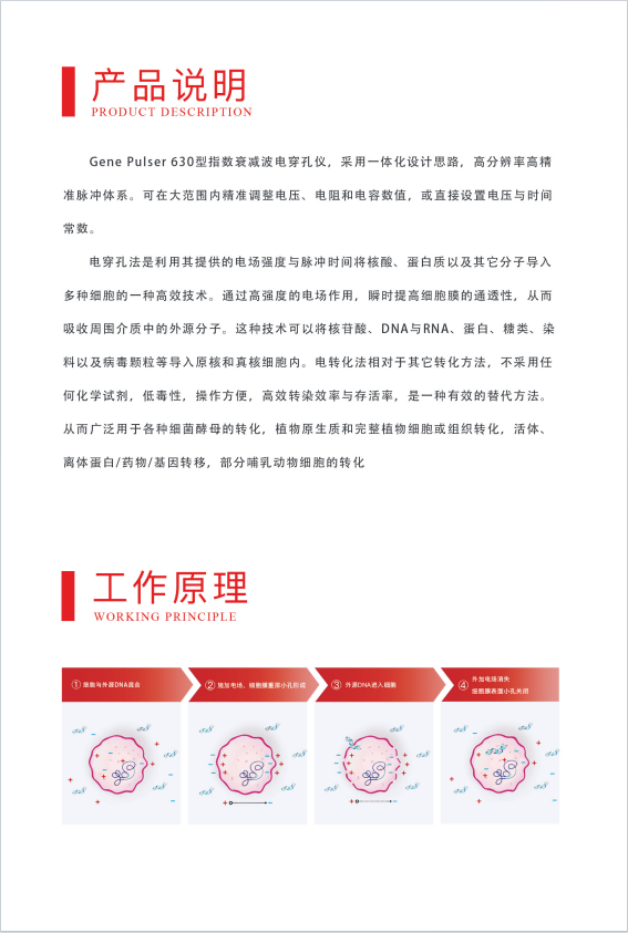 ����� Gene Pulser 630 �紩���� ����չʾ����������ʺ�ʵ���Ҳ���