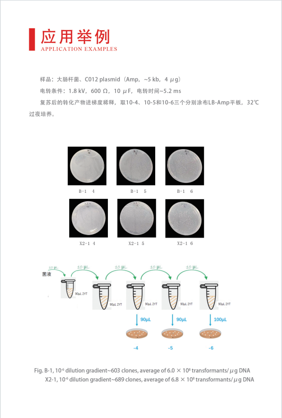 ����� Gene Pulser 630 �紩���� ���������棬ʵʱ��ʾ�������������