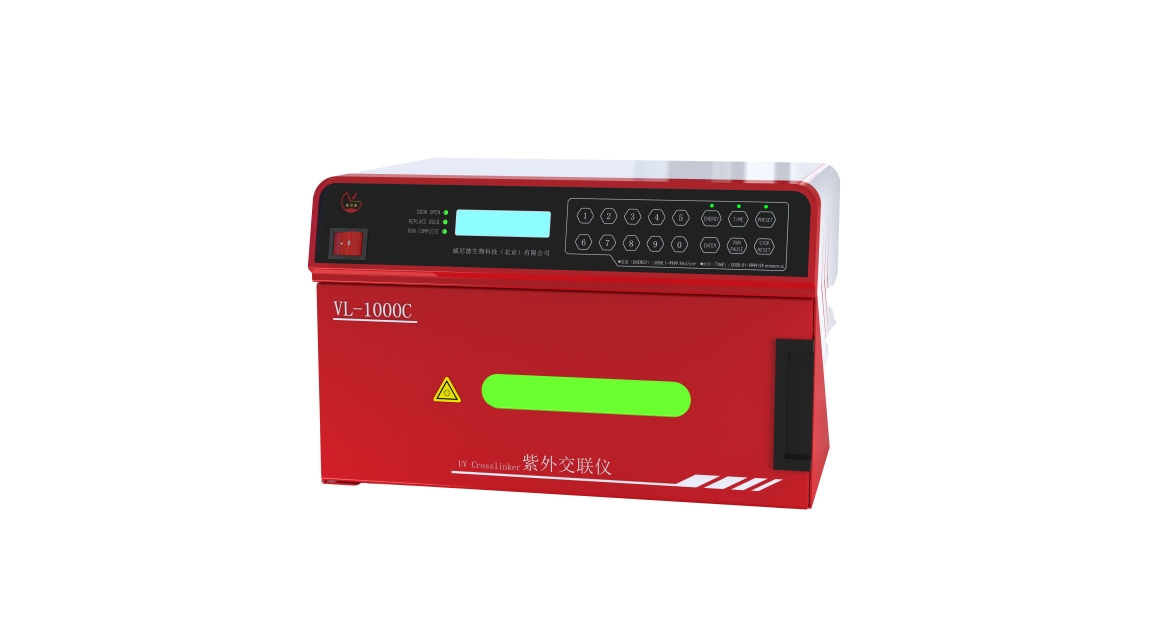 ���⽻����