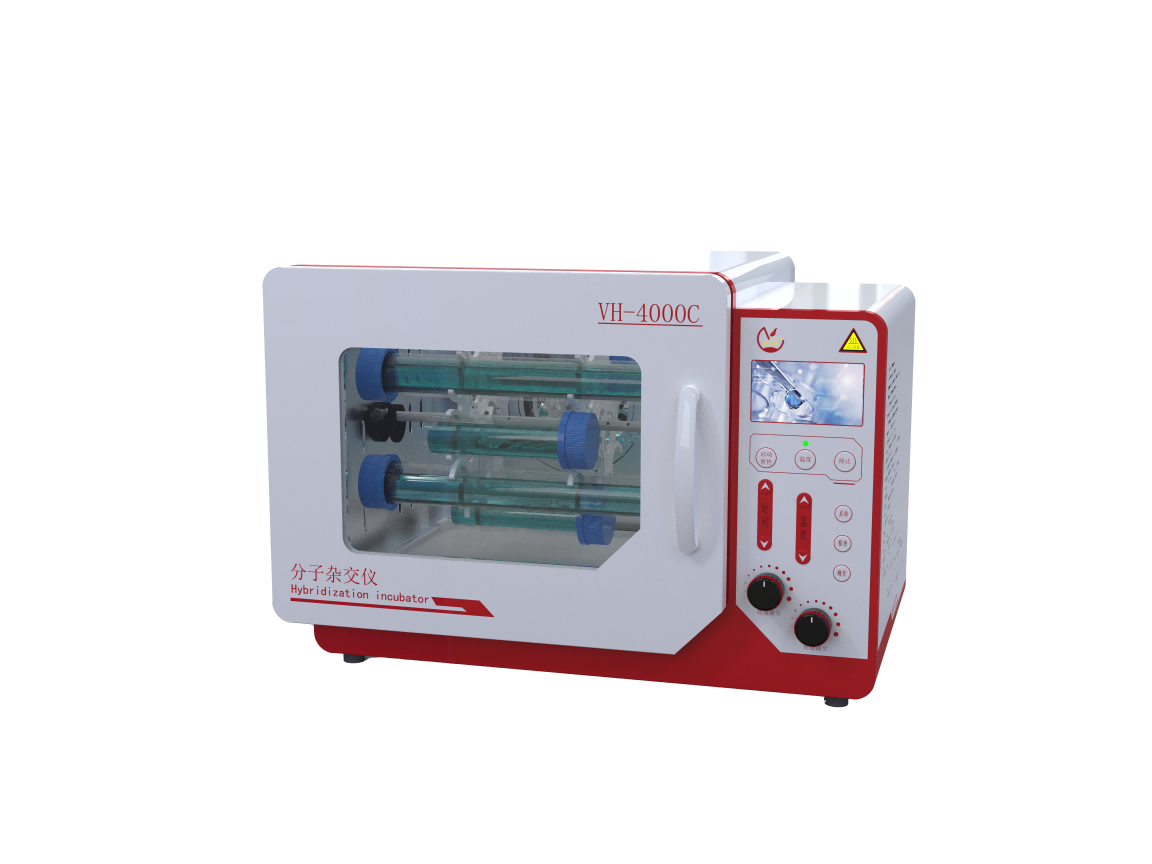 �����ӽ���