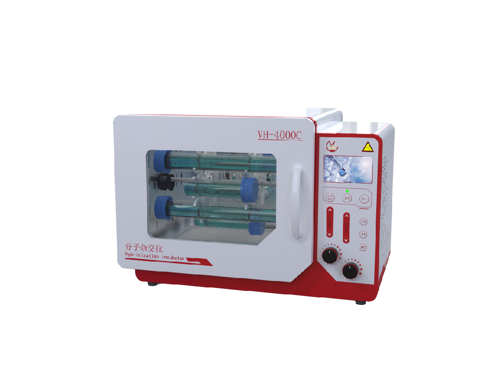 �����ӽ��ǵ���������Щ��