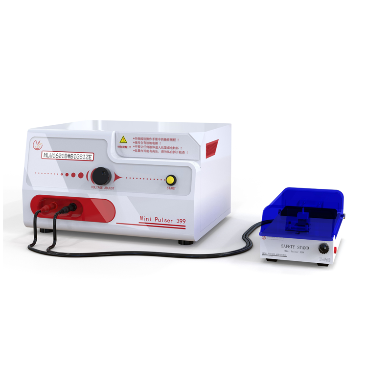 �紩������������Щ����