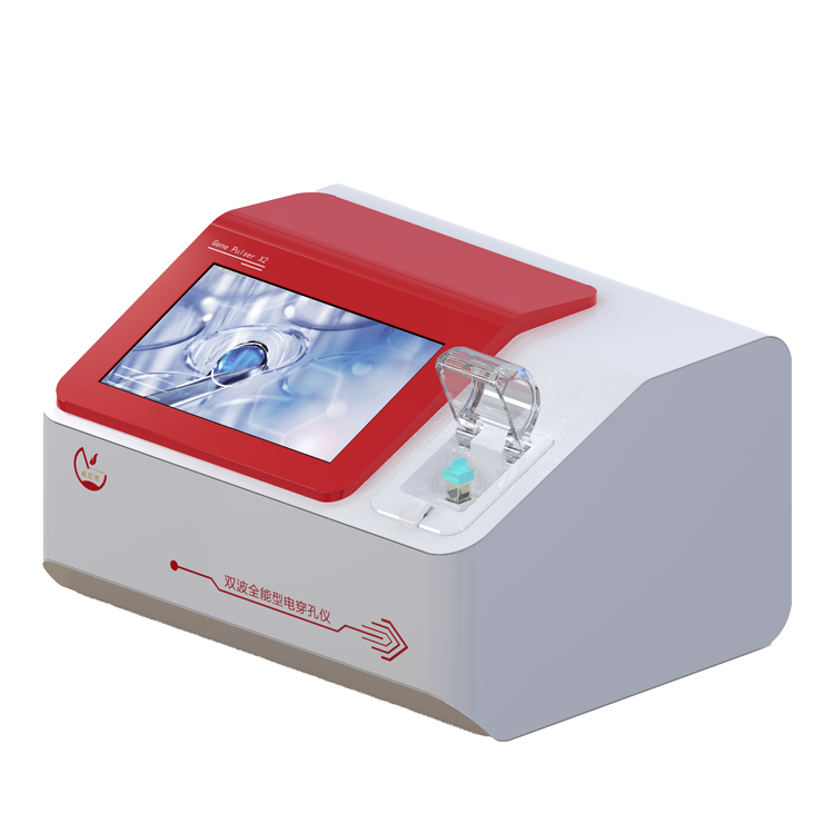 ˫��ȫ���͵紩������Ҫ������������