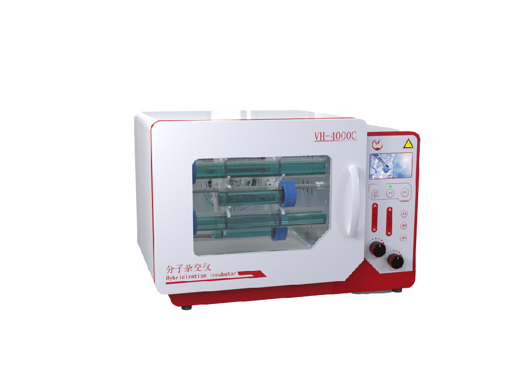 �״��ϳ��ĸPichia methanolica�ĸ�Ч��ת����������